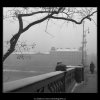 Na mostě (44), Praha 1959 , černobílý obraz, stará fotografie, prodej