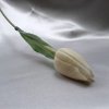 200029 2 I tulipan-smetanovy