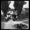 Vrtbovská zahrada (164-2), Praha 1959 červen, černobílý obraz, stará fotografie, prodej
