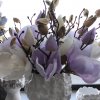 202214 V magnolie-vetvicka-35-fialova