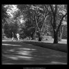 Chotkovy sady (380), Praha 1959 , černobílý obraz, stará fotografie, prodej