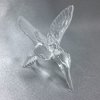202419 IV kolibrik-zaves