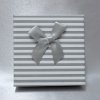 202591 I krabicka-prouzek-sedy-l