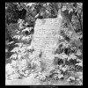 Ze židovského hřbitova (608-9), Praha 1960 květen, černobílý obraz, stará fotografie, prodej