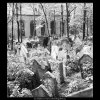 Ze židovského hřbitova (608-11), Praha 1960 květen, černobílý obraz, stará fotografie, prodej