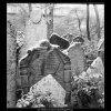 Ze židovského hřbitova (608-12), Praha 1960 květen, černobílý obraz, stará fotografie, prodej