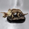 202829 IV dinosaurus-kostra-deco
