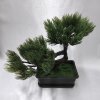 202828 IV bonsai-v-kvetinaci