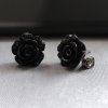 603303 II set-ruze-cerna