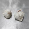 203387 I physalis-bily