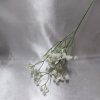 203662 II vetev-gypsophila-bila