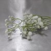 203662 I vetev-gypsophila-bila