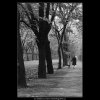 Dvě dívky (983-3), žánry - Praha 1960 podzim, černobílý obraz, stará fotografie, prodej
