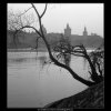 Věže a most skrz strom (1088-8), Praha 1961 březen, černobílý obraz, stará fotografie, prodej