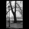 Na Kampě (1132), Praha 1961 duben, černobílý obraz, stará fotografie, prodej