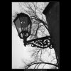 Plynová lampa (1371-1), žánry - Praha 1961 listopad, černobílý obraz, stará fotografie, prodej