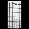 Mříž (1946-2), Praha 1962 prosinec, černobílý obraz, stará fotografie, prodej