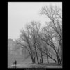 Špička Střeleckého ostrova (1936), žánry - Praha 1962 prosinec, černobílý obraz, stará fotografie, prodej