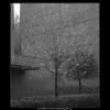 Jaro začíná (2110), žánry - Praha 1963 duben, černobílý obraz, stará fotografie, prodej