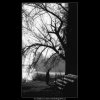 Zákoutí na Kampě (2673), žánry - Praha 1964 leden, černobílý obraz, stará fotografie, prodej