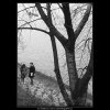 Milenci u vody (3636), žánry - Praha 1965 duben, černobílý obraz, stará fotografie, prodej