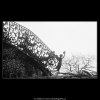Zničené zábradlí (3693), Praha 1965 květen, černobílý obraz, stará fotografie, prodej