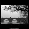 Karlův most od vody (1088-1), Praha 1961 březen, černobílý obraz, stará fotografie, prodej