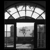 Výhled (4000-1), žánry - Praha 1965 září, černobílý obraz, stará fotografie, prodej