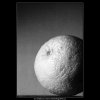 Pomeranč (4272-2), žánry - Praha 1966 únor, černobílý obraz, stará fotografie, prodej
