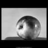 Jablko (4341-2), žánry - Praha 1966 únor, černobílý obraz, stará fotografie, prodej
