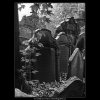 Starý židovský hřbitov (4929-1), Praha 1966 říjen, černobílý obraz, stará fotografie, prodej