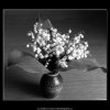 Konvalinky (4545-2), žánry - Praha 1966 květen, černobílý obraz, stará fotografie, prodej