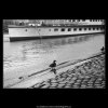 Kachna u břehu (4593-1), žánry - Praha 1966 červen, černobílý obraz, stará fotografie, prodej