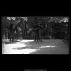 Ve Stromovce (4720-2), žánry - Praha 1966 srpen, černobílý obraz, stará fotografie, prodej