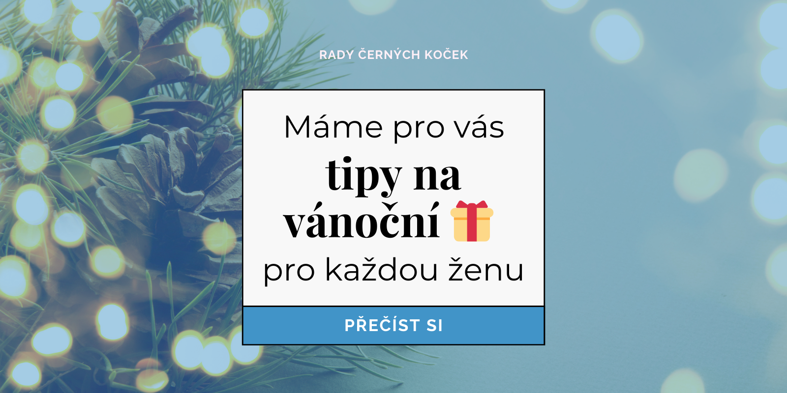 Ještě stíháte! Objednejte dárky pod stromeček do 16. prosince 🎁