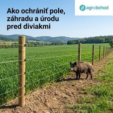 Ako ochrániť pole, záhradu a úrodu pred diviakmi