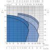 VO hbv
