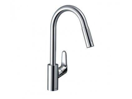 kuchynska-bateria-so-sprchou-hansgrohe-focus-m41