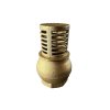 saci-kos-do-studne-mosadzny-6-4