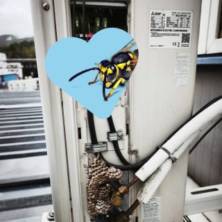 Milujeme túto prácu 😍 Dnes zase naše letné kamarátky 🐝 WWW.CERPADLODODOMU.SK Info@jlgarant.eu 0940 230 611