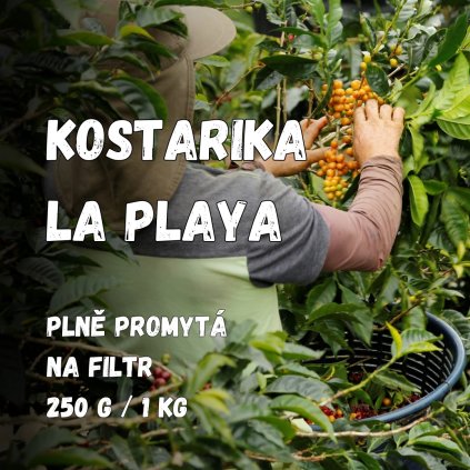Zrnková káva LA PLAYA (Kostarika)