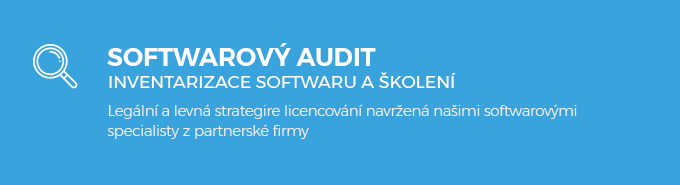 Z Softwarový audit