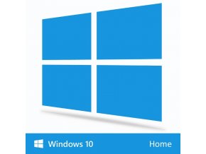 windows 10