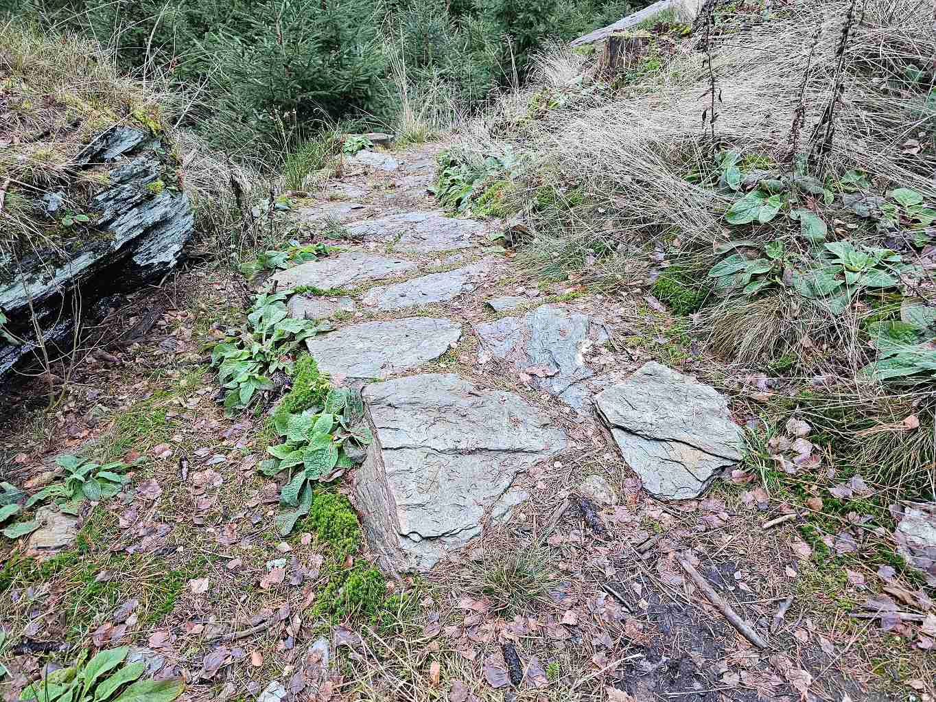 antropogenni-tvar-dlazdena-cesta-pod-torem