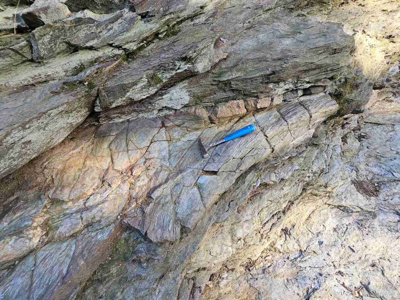 celkovy-pohled-na-vrasovou-strukturu