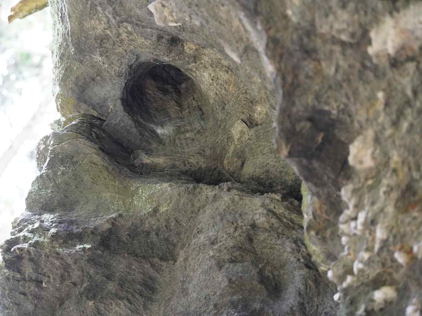 dovrchni-konkavni-vyduta-erozni-struktura