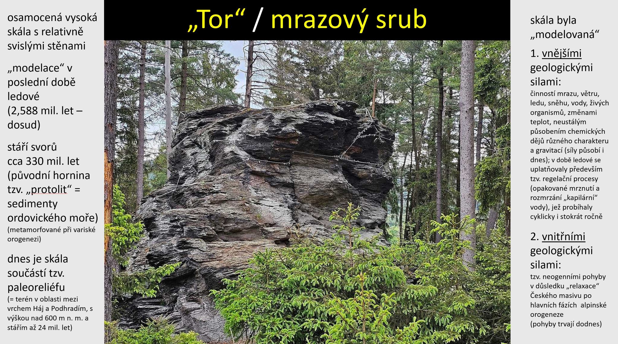 karta_tor_mrazovy_srub