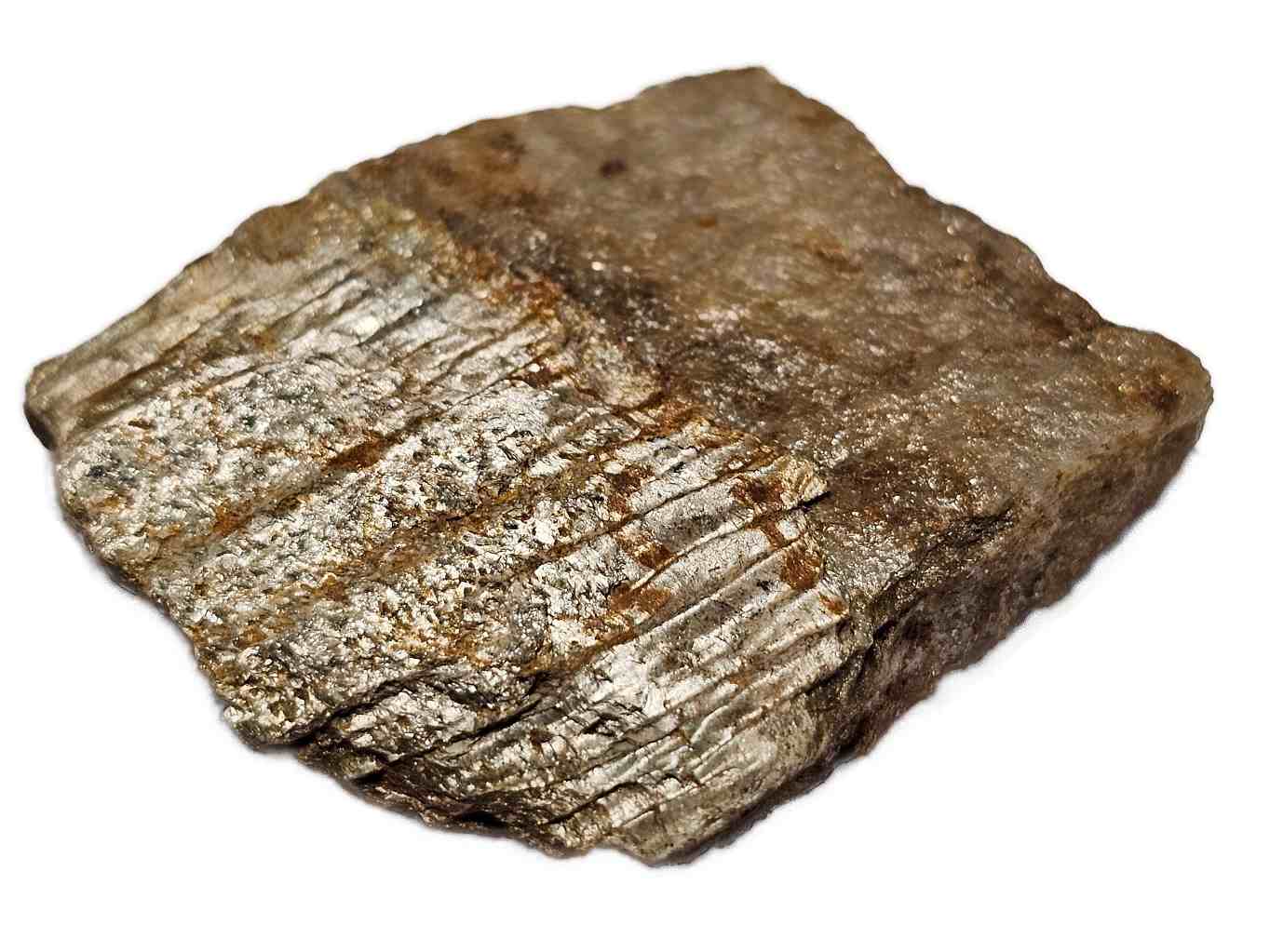 kompetentni-a-nekompetentni-cast-svoru