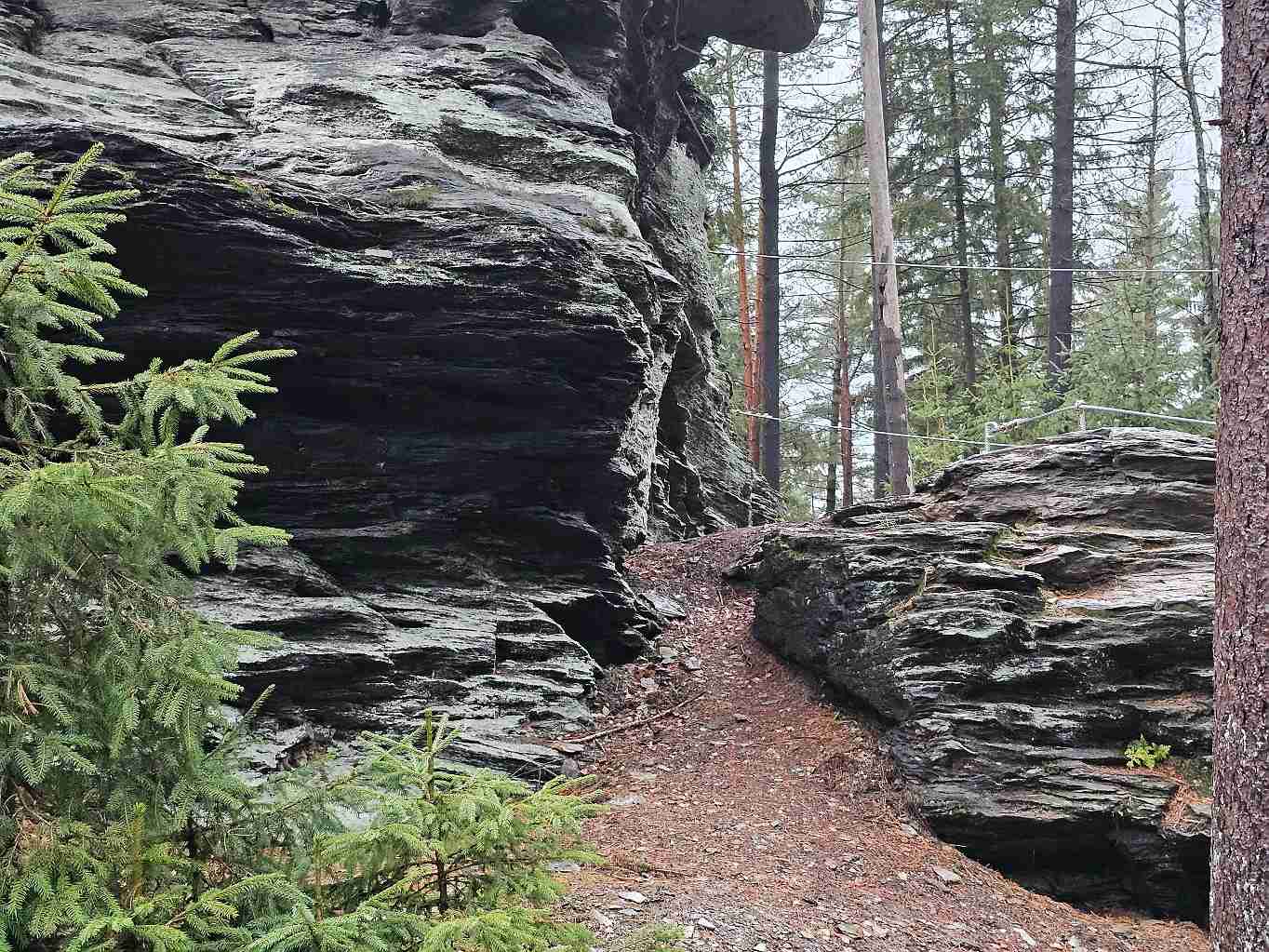 mrazova-jizva-mezi-torem-a-mensi-skalou