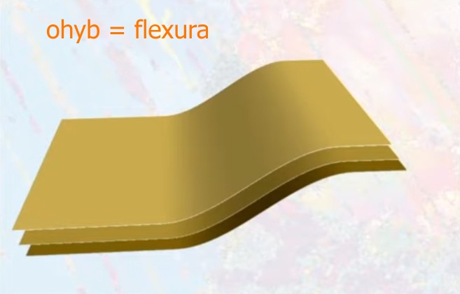 ohyb-flexura-text